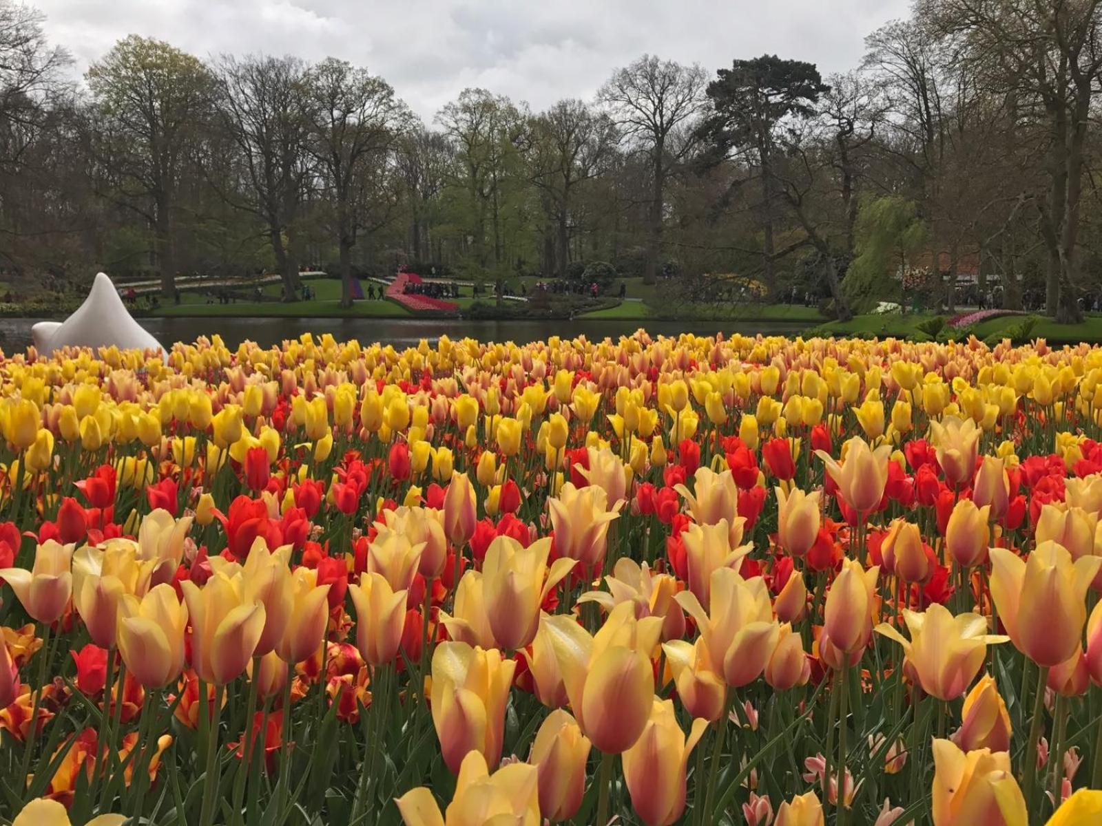 Camping De Hof Van Eeden Hotel Warmond Kültér fotó
